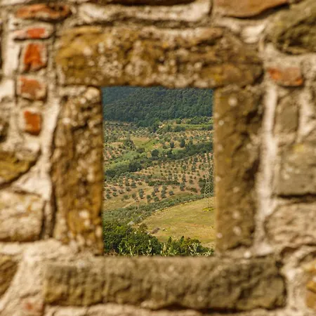 Hotel Tenuta Di Member Of Melia Collection Wine Artimino